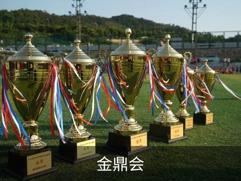 走进金鼎会